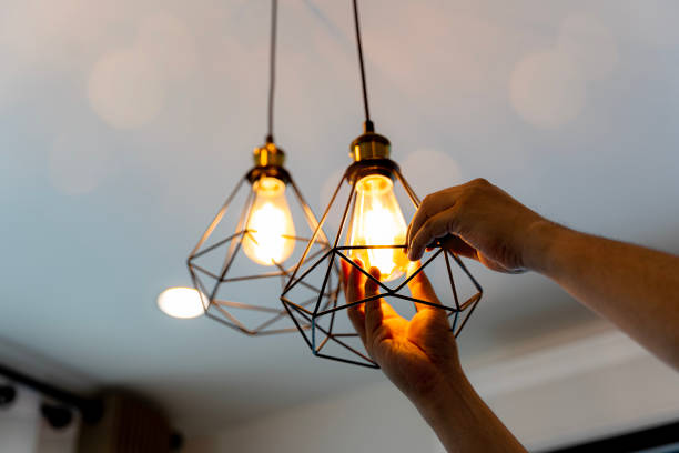 Best 24-Hour Electrician  in Monee, IL