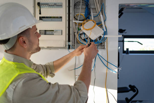 Best Electric Panel Repair  in Monee, IL